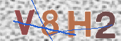 To prevent spam, please prove you are a real person by typing the characters you see in this box into the box below.
