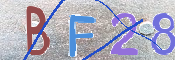 To prevent spam, please prove you are a real person by typing the characters you see in this box into the box below.