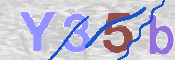 To prevent spam, please prove you are a real person by typing the characters you see in this box into the box below.