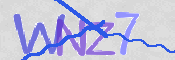 To prevent spam, please prove you are a real person by typing the characters you see in this box into the box below.
