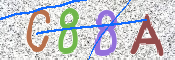 To prevent spam, please prove you are a real person by typing the characters you see in this box into the box below.