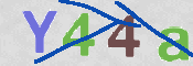 To prevent spam, please prove you are a real person by typing the characters you see in this box into the box below.