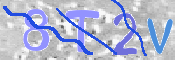 To prevent spam, please prove you are a real person by typing the characters you see in this box into the box below.