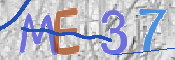 To prevent spam, please prove you are a real person by typing the characters you see in this box into the box below.