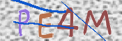 To prevent spam, please prove you are a real person by typing the characters you see in this box into the box below.