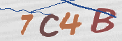 To prevent spam, please prove you are a real person by typing the characters you see in this box into the box below.