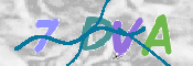 To prevent spam, please prove you are a real person by typing the characters you see in this box into the box below.