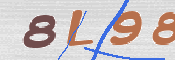 To prevent spam, please prove you are a real person by typing the characters you see in this box into the box below.