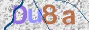 To prevent spam, please prove you are a real person by typing the characters you see in this box into the box below.