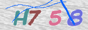 To prevent spam, please prove you are a real person by typing the characters you see in this box into the box below.