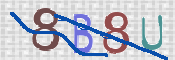 To prevent spam, please prove you are a real person by typing the characters you see in this box into the box below.