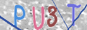 To prevent spam, please prove you are a real person by typing the characters you see in this box into the box below.