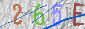 To prevent spam, please prove you are a real person by typing the characters you see in this box into the box below.