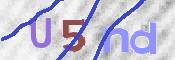 To prevent spam, please prove you are a real person by typing the characters you see in this box into the box below.