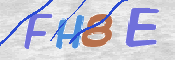 To prevent spam, please prove you are a real person by typing the characters you see in this box into the box below.