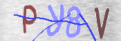 To prevent spam, please prove you are a real person by typing the characters you see in this box into the box below.