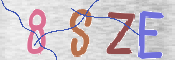 To prevent spam, please prove you are a real person by typing the characters you see in this box into the box below.