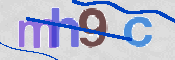 To prevent spam, please prove you are a real person by typing the characters you see in this box into the box below.