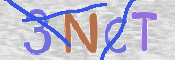To prevent spam, please prove you are a real person by typing the characters you see in this box into the box below.