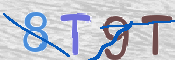 To prevent spam, please prove you are a real person by typing the characters you see in this box into the box below.