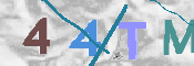 To prevent spam, please prove you are a real person by typing the characters you see in this box into the box below.