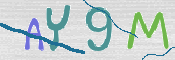 To prevent spam, please prove you are a real person by typing the characters you see in this box into the box below.