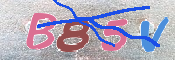 To prevent spam, please prove you are a real person by typing the characters you see in this box into the box below.