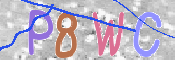 To prevent spam, please prove you are a real person by typing the characters you see in this box into the box below.