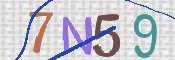 To prevent spam, please prove you are a real person by typing the characters you see in this box into the box below.