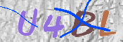 To prevent spam, please prove you are a real person by typing the characters you see in this box into the box below.