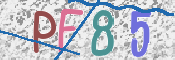 To prevent spam, please prove you are a real person by typing the characters you see in this box into the box below.