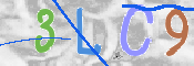To prevent spam, please prove you are a real person by typing the characters you see in this box into the box below.