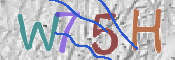 To prevent spam, please prove you are a real person by typing the characters you see in this box into the box below.