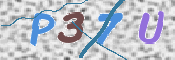 To prevent spam, please prove you are a real person by typing the characters you see in this box into the box below.