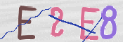 To prevent spam, please prove you are a real person by typing the characters you see in this box into the box below.
