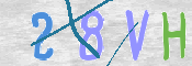 To prevent spam, please prove you are a real person by typing the characters you see in this box into the box below.