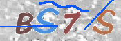 To prevent spam, please prove you are a real person by typing the characters you see in this box into the box below.