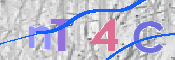To prevent spam, please prove you are a real person by typing the characters you see in this box into the box below.