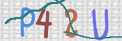 To prevent spam, please prove you are a real person by typing the characters you see in this box into the box below.