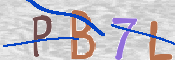 To prevent spam, please prove you are a real person by typing the characters you see in this box into the box below.