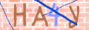 To prevent spam, please prove you are a real person by typing the characters you see in this box into the box below.