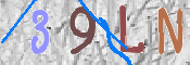 To prevent spam, please prove you are a real person by typing the characters you see in this box into the box below.
