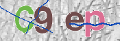 To prevent spam, please prove you are a real person by typing the characters you see in this box into the box below.
