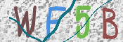To prevent spam, please prove you are a real person by typing the characters you see in this box into the box below.
