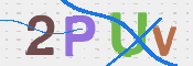To prevent spam, please prove you are a real person by typing the characters you see in this box into the box below.