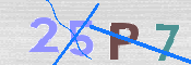 To prevent spam, please prove you are a real person by typing the characters you see in this box into the box below.