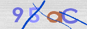To prevent spam, please prove you are a real person by typing the characters you see in this box into the box below.