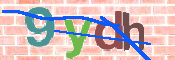 To prevent spam, please prove you are a real person by typing the characters you see in this box into the box below.