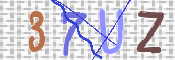 To prevent spam, please prove you are a real person by typing the characters you see in this box into the box below.