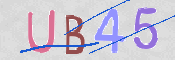 To prevent spam, please prove you are a real person by typing the characters you see in this box into the box below.